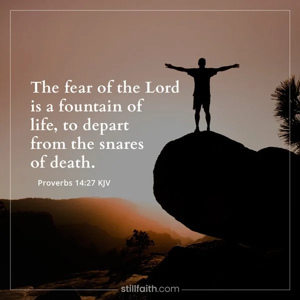Proverbs 14:27 KJV Image