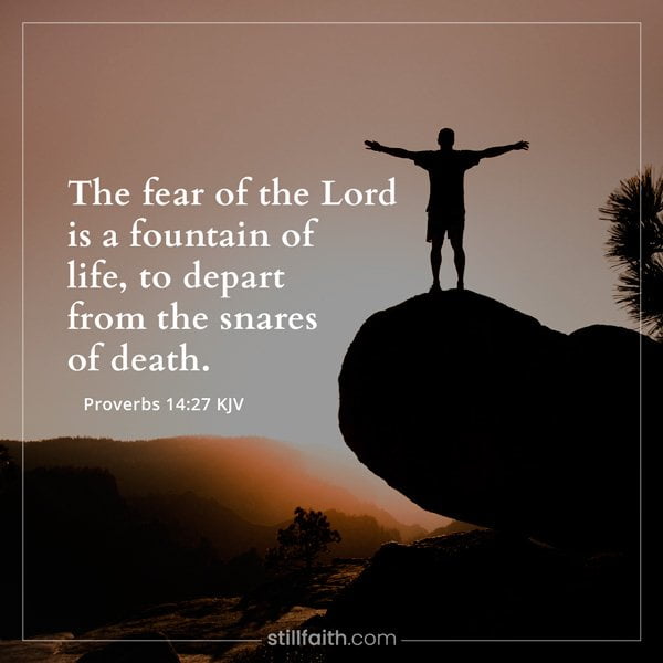 Proverbs 14:27 KJV﻿ Image