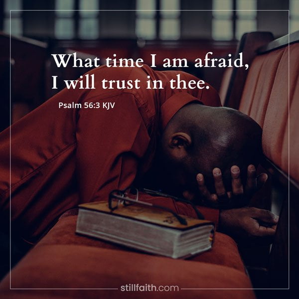 Psalm 56:3 KJV﻿ Image