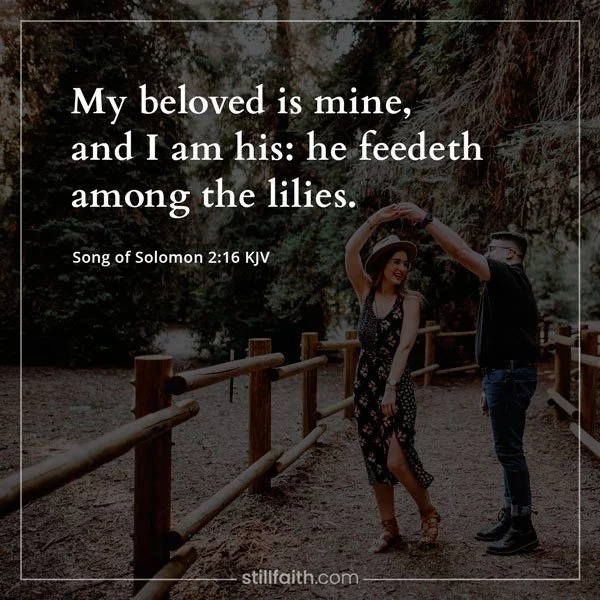 Song of Solomon 2:16 KJV Image