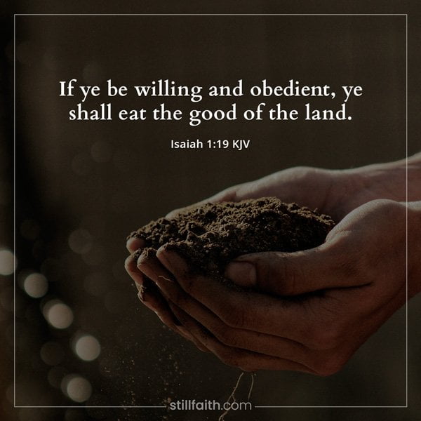 Isaiah 1:19 KJV﻿ Image