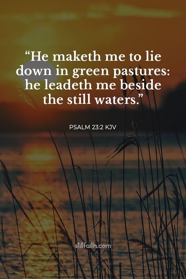 Psalm 23:2 KJV Image