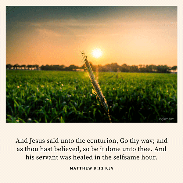 Matthew 8:13 KJV Image