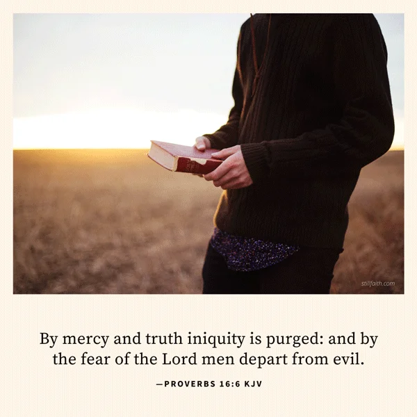 Proverbs 16:6 KJV Image