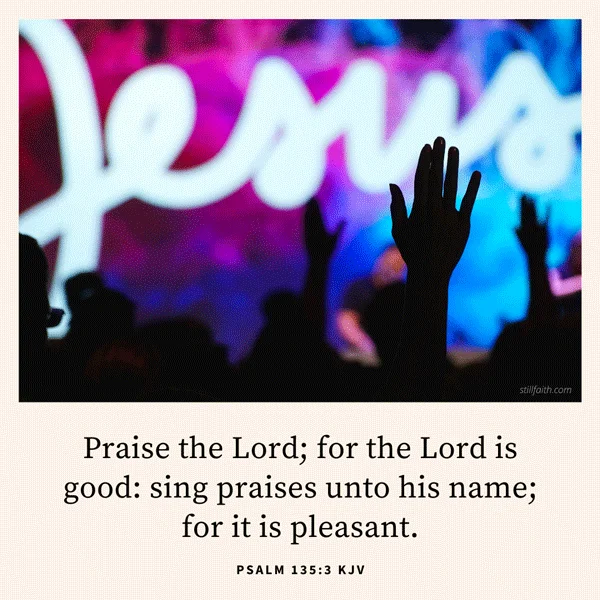 Psalm 135:3 KJV Image