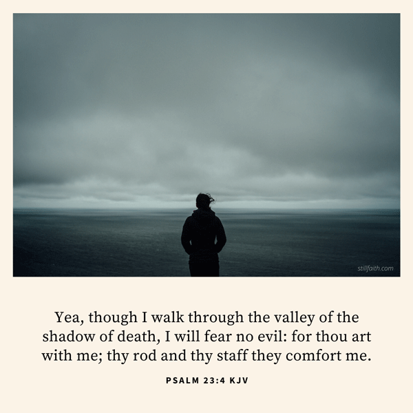 Psalm 23:4 KJV Image