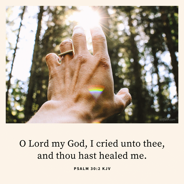 Psalm 30:2 KJV Image