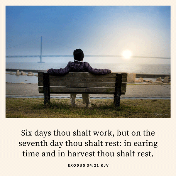 Exodus 34:21 KJV Image