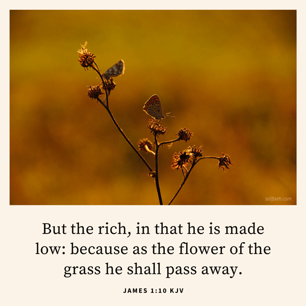 James 1:10 KJV Image