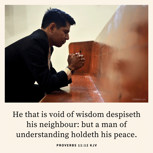 Proverbs 11:12 KJV Image