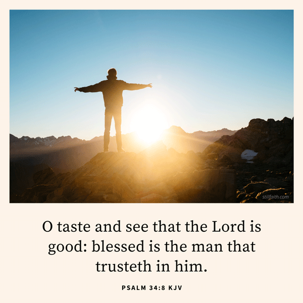 Psalm 34:8 KJV Image