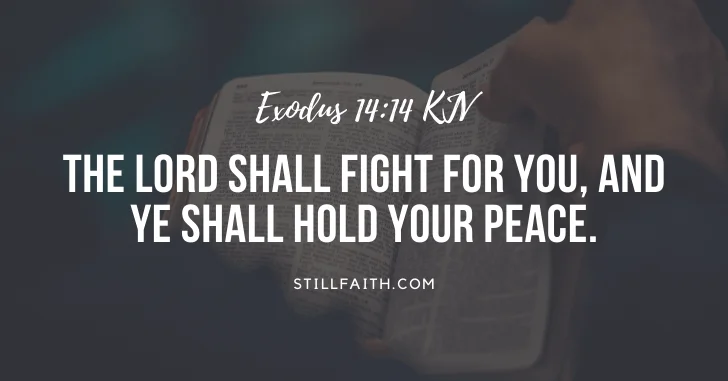 Top 25 Most Popular Bible Verses in Exodus