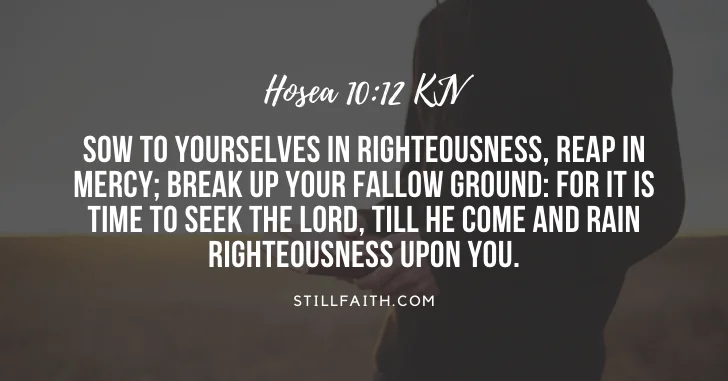 Top 25 Most Popular Bible Verses in Hosea