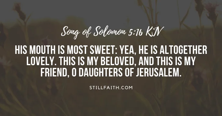 Top 25 Most Popular Bible Verses in Song of Solomon