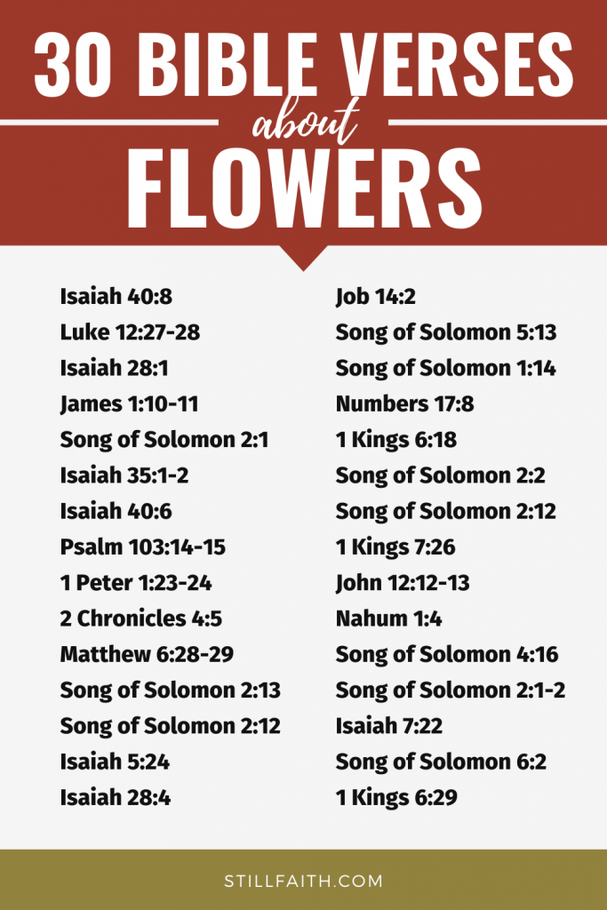 104 Bible Verses about Flowers
