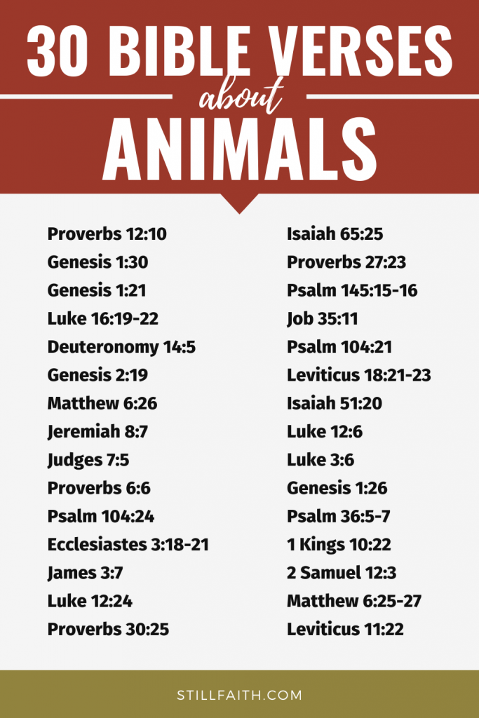 263 Bible Verses about Animals