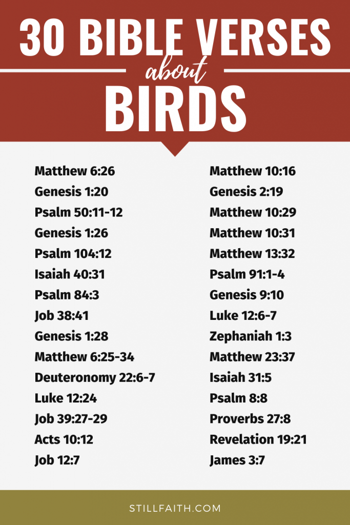 181 Bible Verses about Birds
