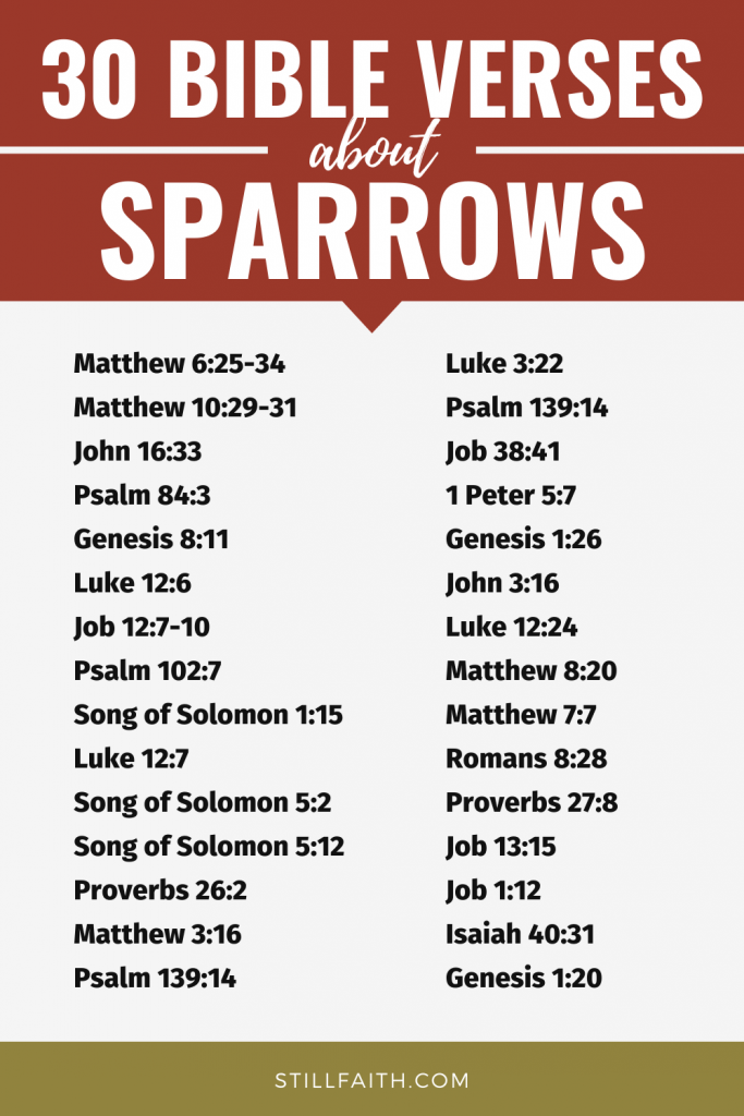 100 Bible Verses about Sparrows