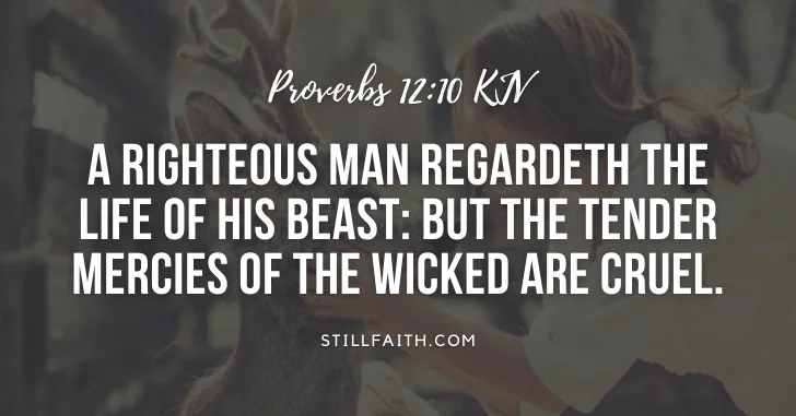 100 Bible Verses about Animals