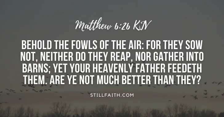 100 Bible Verses about Birds