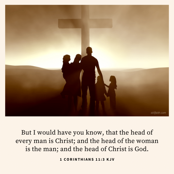 1 Corinthians 11:3 KJV Image