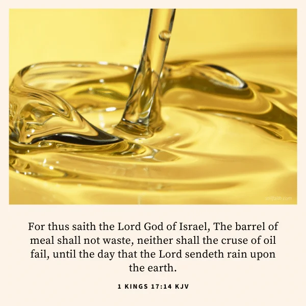 1 Kings 17:14 KJV Image