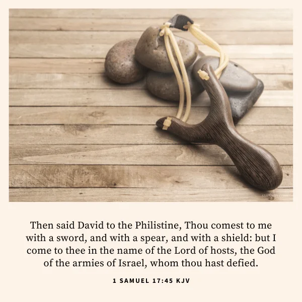 1 Samuel 17:45 KJV Image