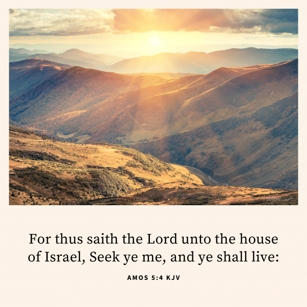 Amos 5:4 KJV Image