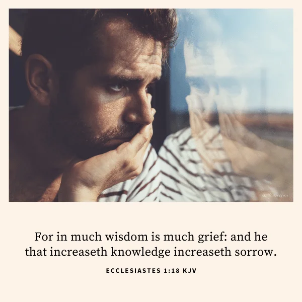 Ecclesiastes 1:18 KJV Image