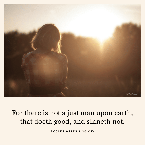 Ecclesiastes 7:20 KJV Image