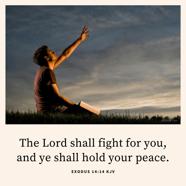 Exodus 14:14 KJV Image