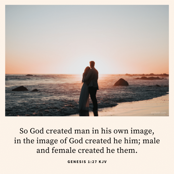 Genesis 1:27 KJV Image