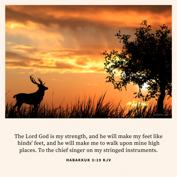 Habakkuk 3:19 KJV Image