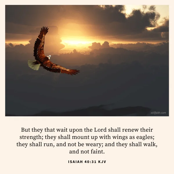 Isaiah 40:31 KJV Image