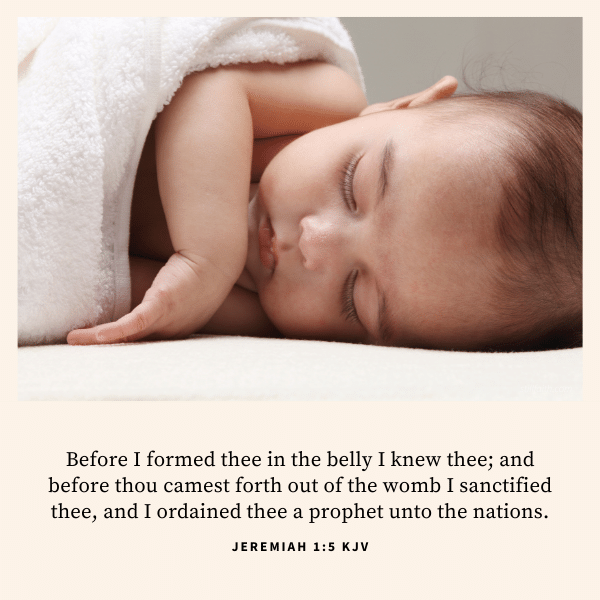 Jeremiah 1:5 KJV Image