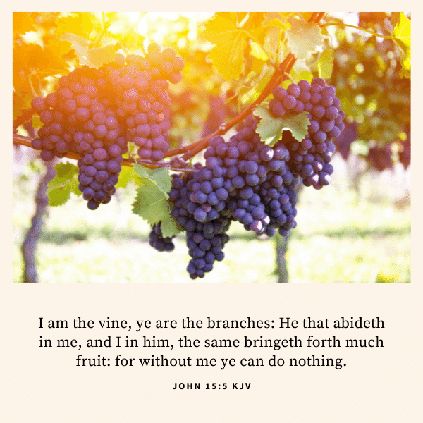 John 15:5 KJV Image