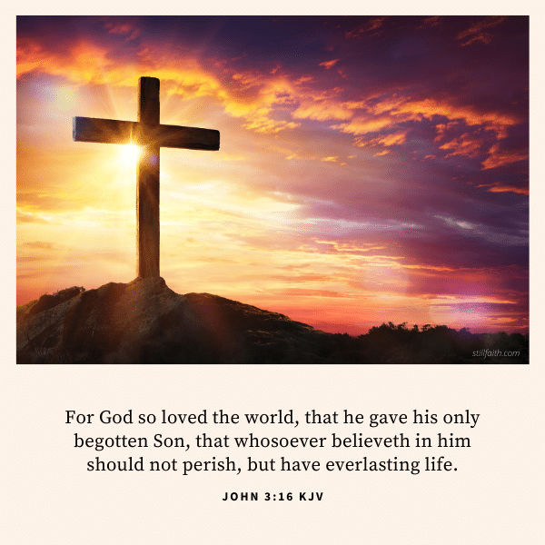 John 3:16 KJV Image