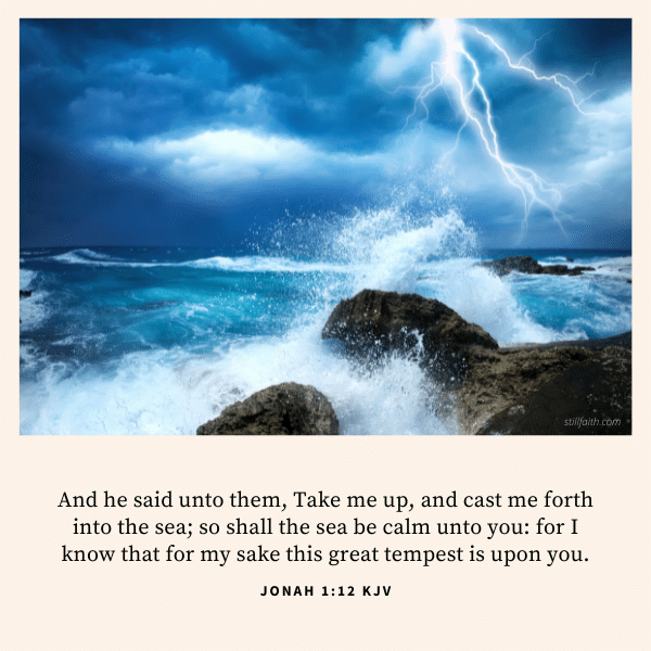 Jonah 1:12 KJV Image