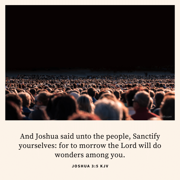 Joshua 3:5 KJV Image