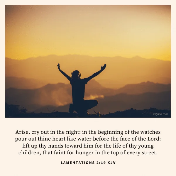 Lamentations 2:19 KJV Image