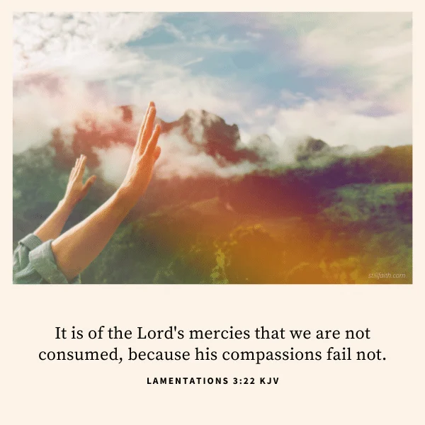 Lamentations 3:22 KJV Image