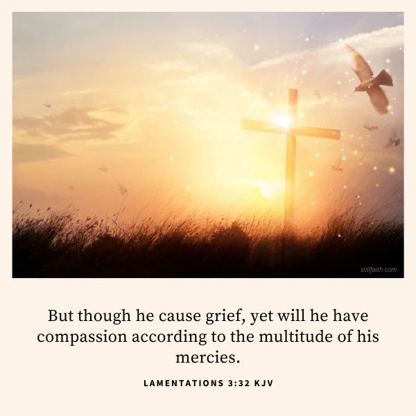 Lamentations 3:32 KJV Image