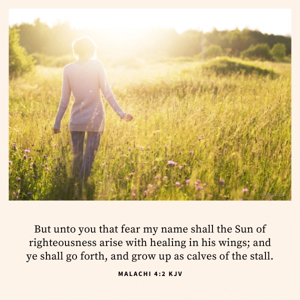 Malachi 4:2 KJV Image