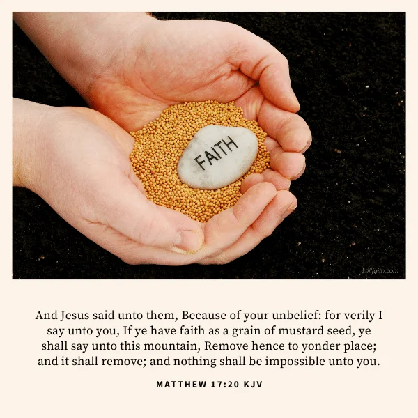 Matthew 17:20 KJV Image