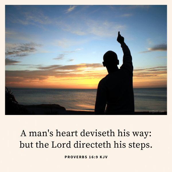Proverbs 16:9 KJV Image