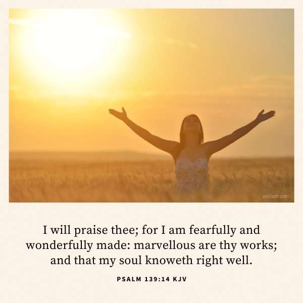 Psalm 139:14 KJV Image