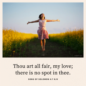 Top 25 Most Popular Bible Verses in Song of Solomon | StillFaith.com