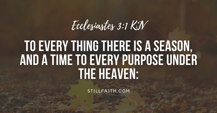 100 Bible Verses about Seasons