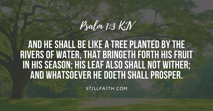 232 Bible Verses about Trees