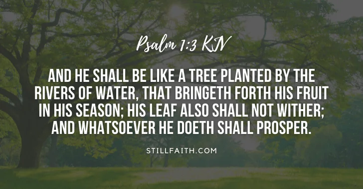 100 Bible Verses about Trees